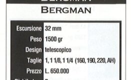 Bergman 1993 TuttoMTB Sospensioni