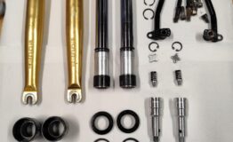 Marzocchi Scott Alexander